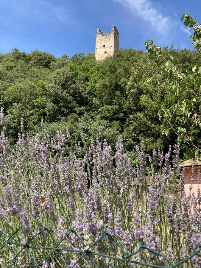 Отель La Casa Dei Nonni Torre Orsina Экстерьер фото